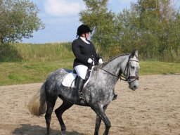 LF HSC - 0388_web